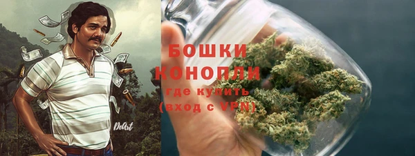 молекула духа Горняк